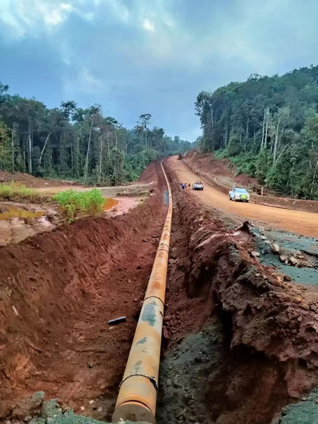 Stake(�й���)�ٷ���վ